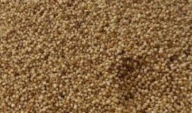 Kg - Arikelu(అరికెలు)