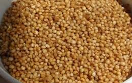 Kg - Udalu(ఊదలు)