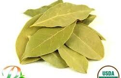 10 Rs - Biryani Aaku (బిర్యానీ ఆకు )