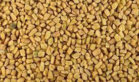 100 Gms - Menthulu(మెంతులు )