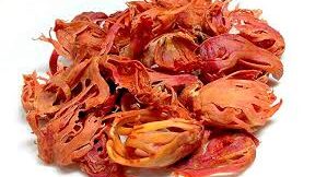 25 Rs Pack - JaaPathri(జాపత్రి)