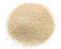 Gasa gasaluగసగసాలు)