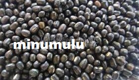 Kg - Minumulu (మినుములు )