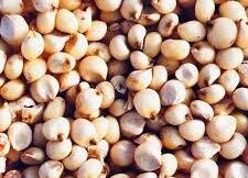 Kg - Jonnalu(జొన్నలు)